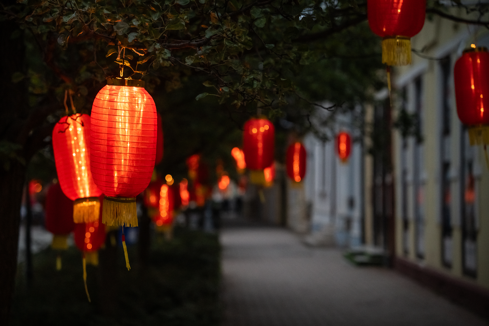 Lampion.jpg