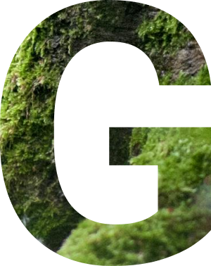 G-图片.png