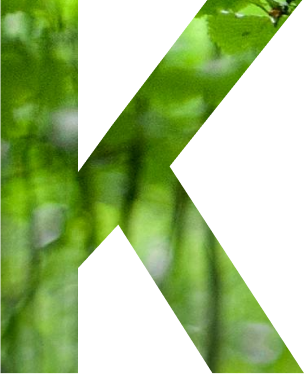 K-图片.png