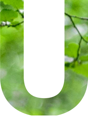 U-图片.png